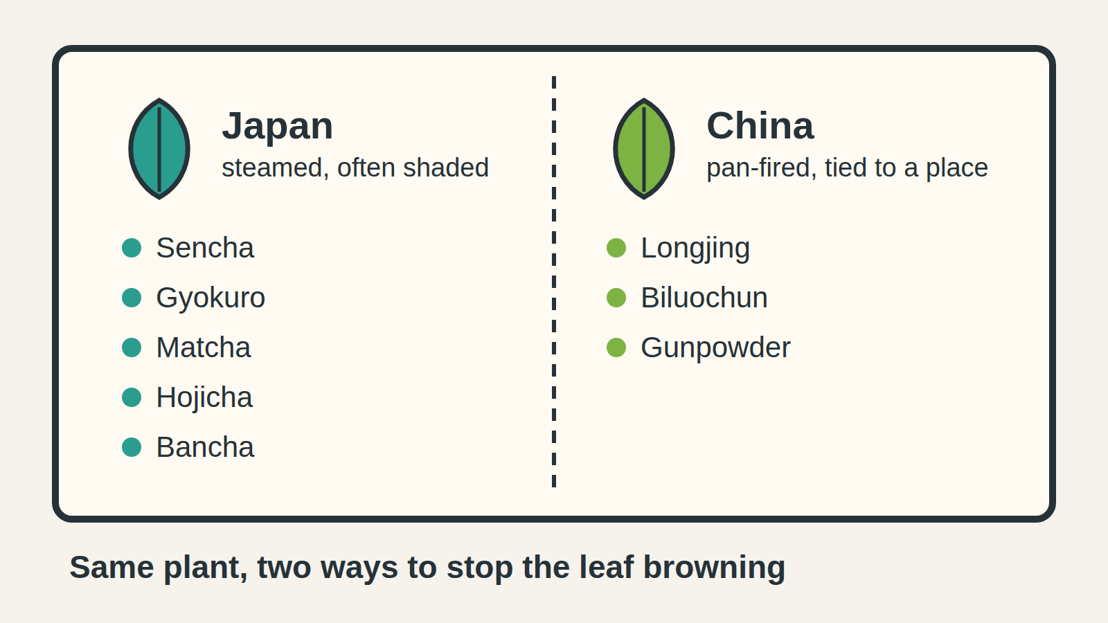 Japanese green teas (sencha, gyokuro, matcha, hojicha, bancha) are steamed; Chinese green teas (Longjing, Biluochun, gunpowder) are pan-fired.