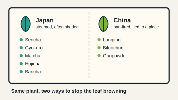 Japanese green teas (sencha, gyokuro, matcha, hojicha, bancha) are steamed; Chinese green teas (Longjing, Biluochun, gunpowder) are pan-fired.
